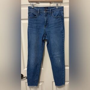 J. Crew Blue 10’ High Rise Skinny Jeans